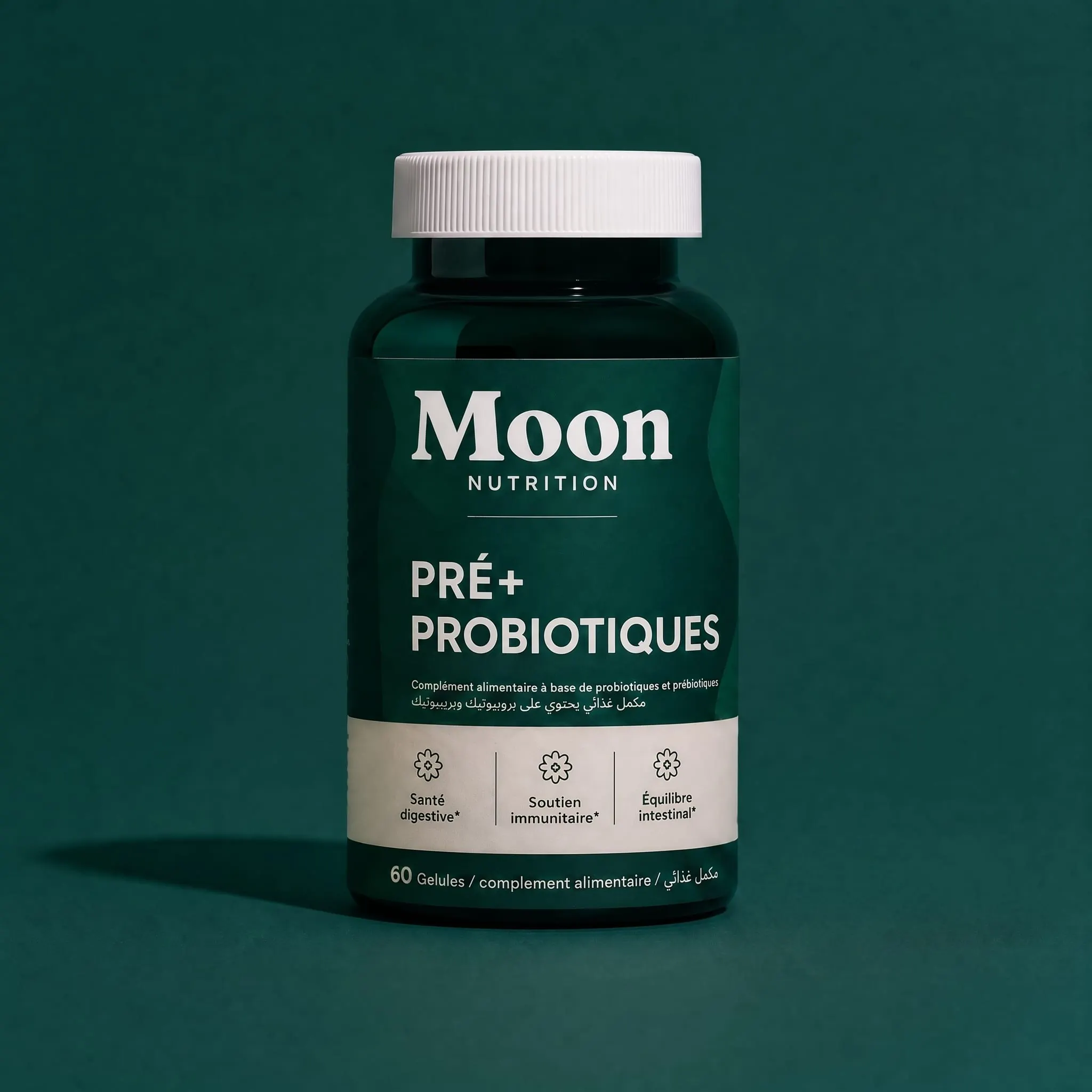 Moon Nuit